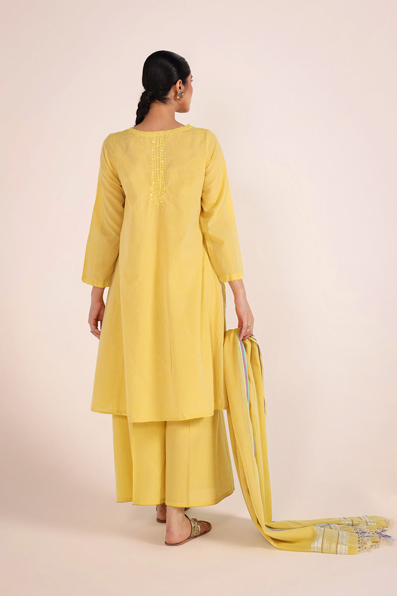 Aina Karigari Suit