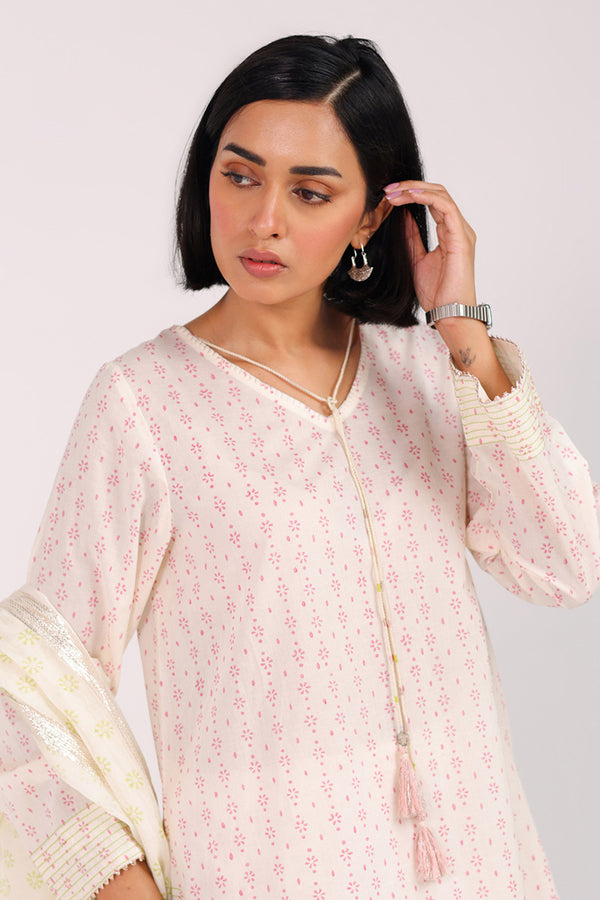 Anarkali Block Grace 3 Piece Suit