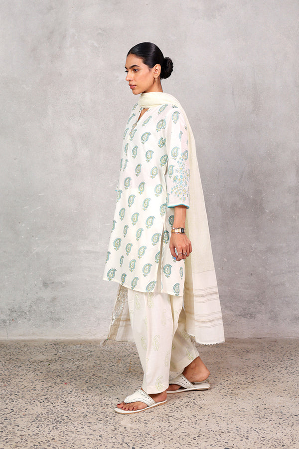 Anarkali Signature 3 Piece Suit