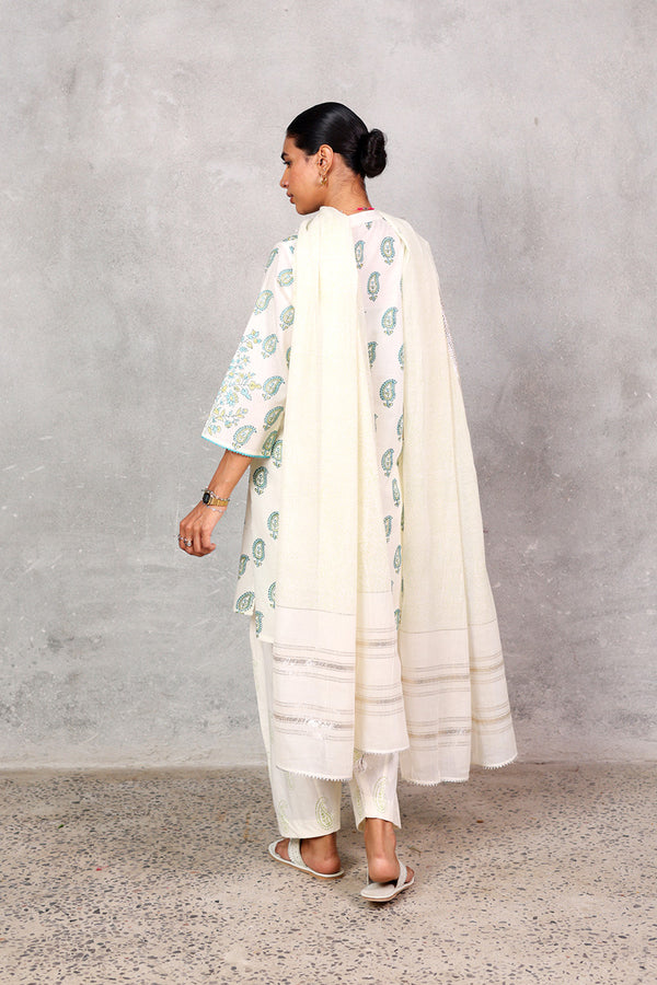 Anarkali Signature 3 Piece Suit