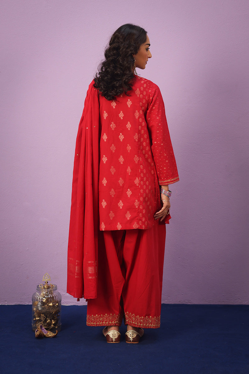 Raat ki Rani Zerwesh Suit