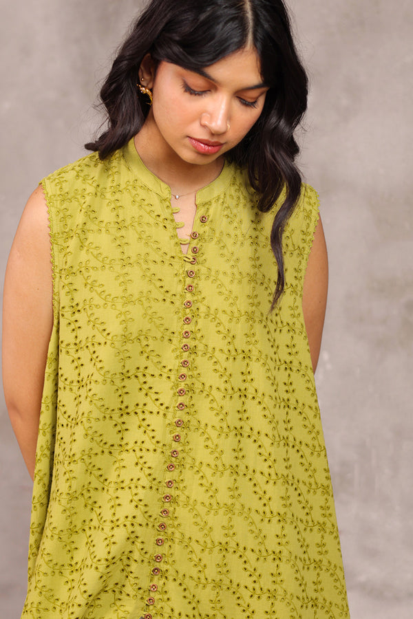 Spring Fling Schiffli Dress