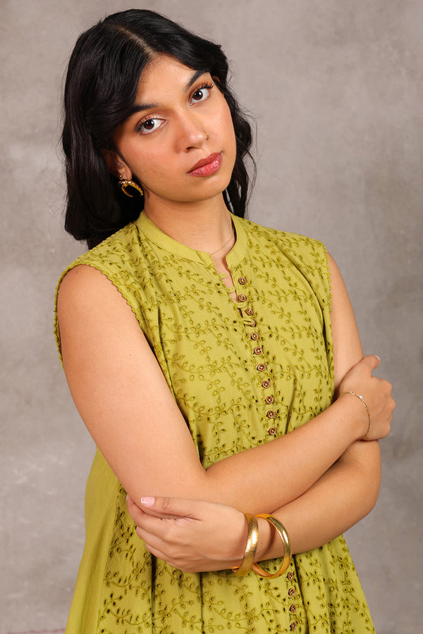 Spring Fling Schiffli Dress