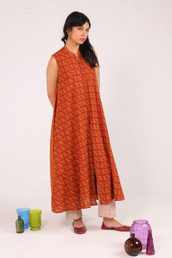 Spring Fling Schiffli Dress