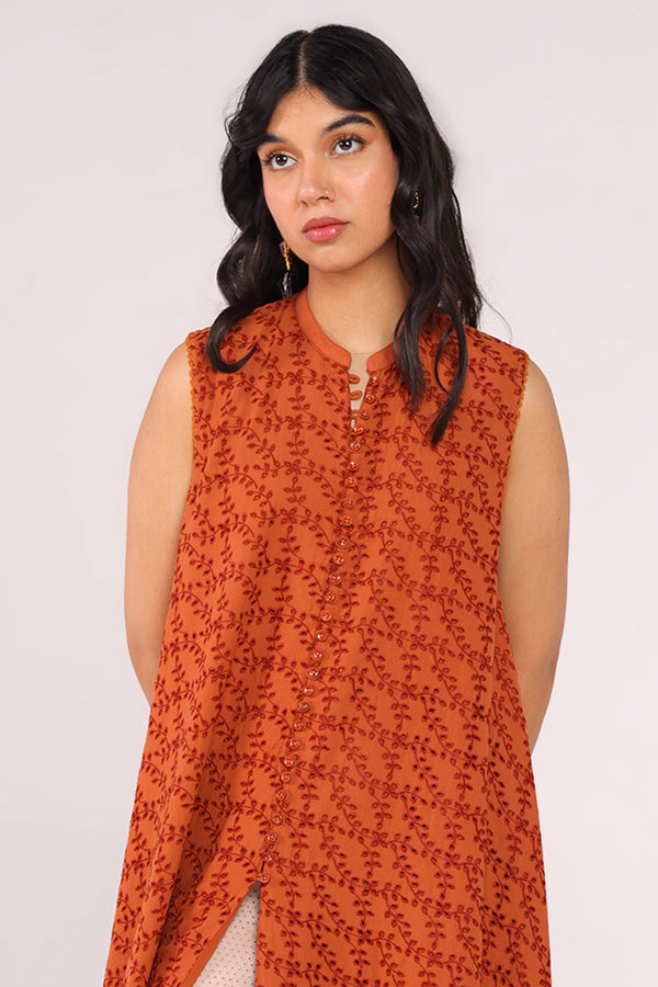 Spring Fling Schiffli Dress