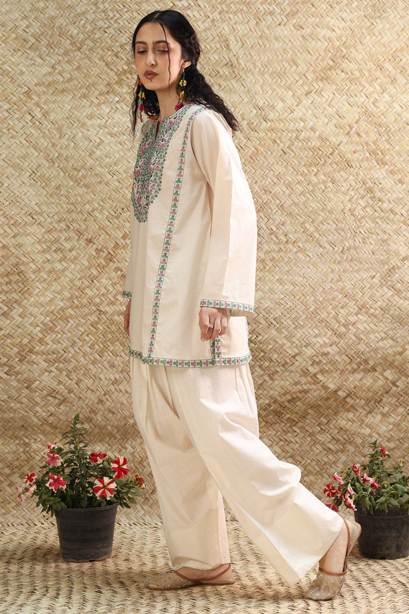 Rang Edit Kurti