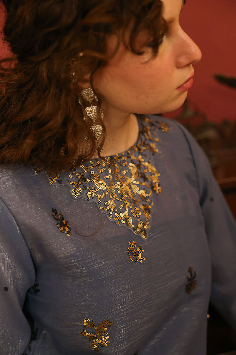 Sequin Sitara Suit