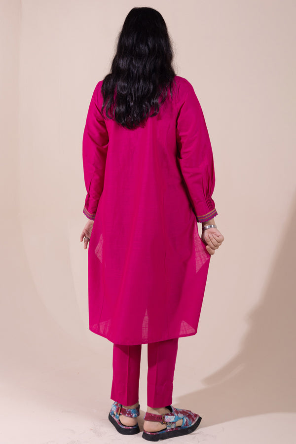 Pyari Paras Embroidered Set