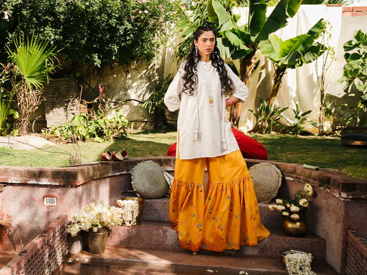 Best embroidered dresses in Pakistan