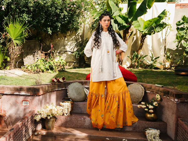 Best embroidered dresses in Pakistan