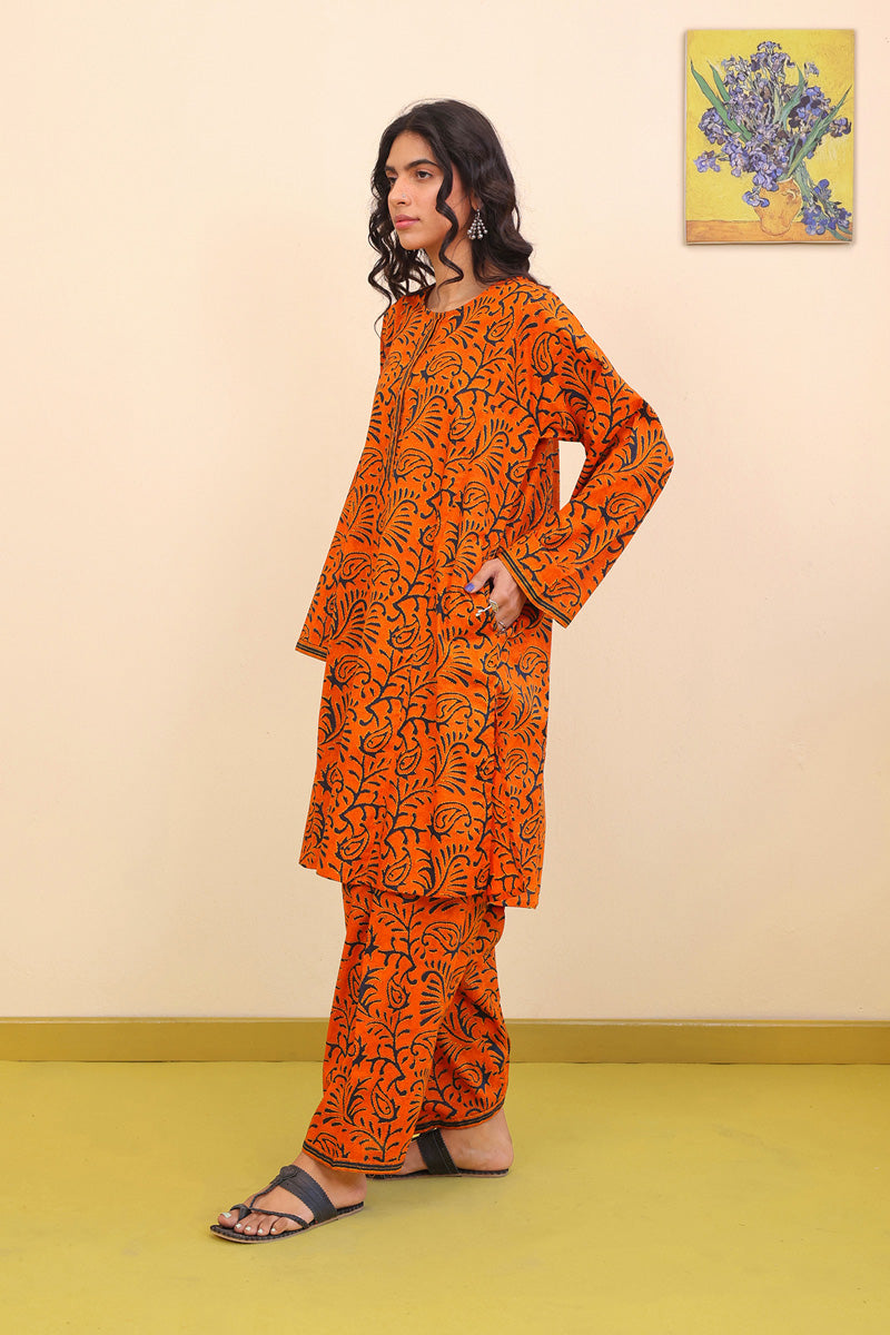 Sujani Printed 2-Piece Set