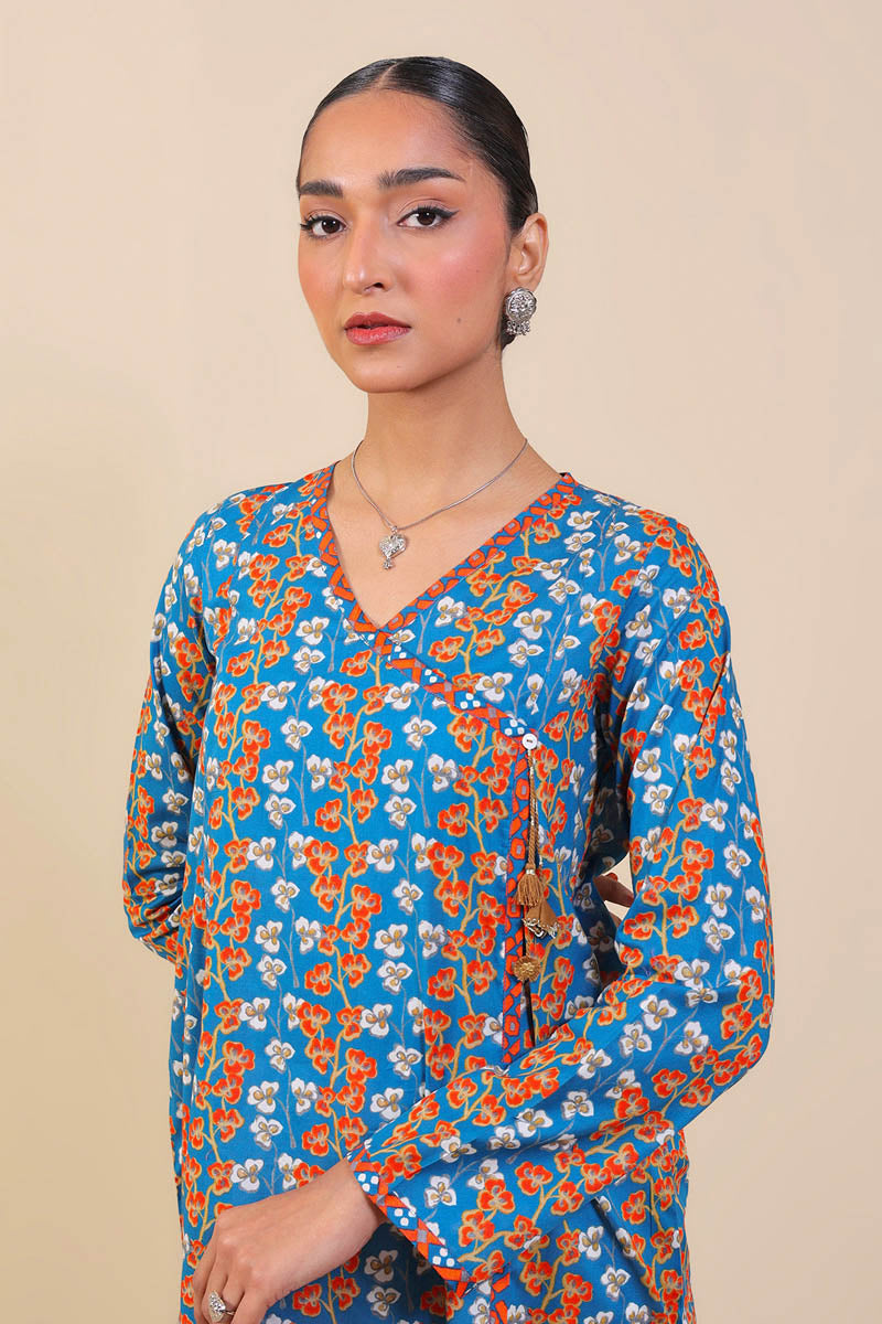 Cloves Kurta