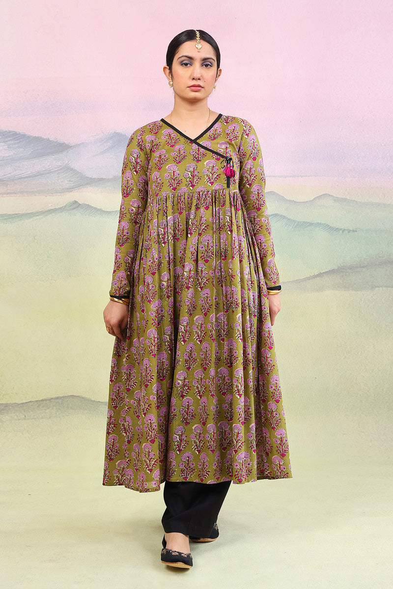 Pankhi Duo Dress