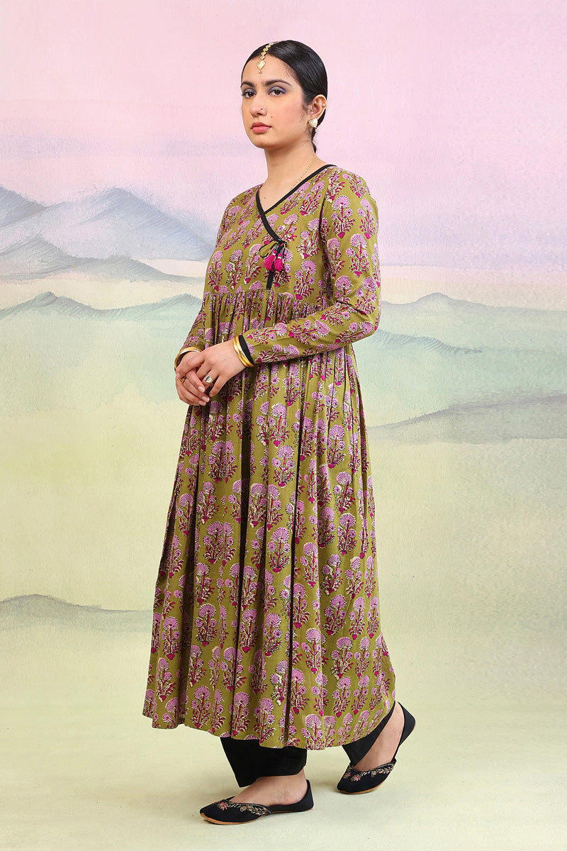 Pankhi Duo Dress