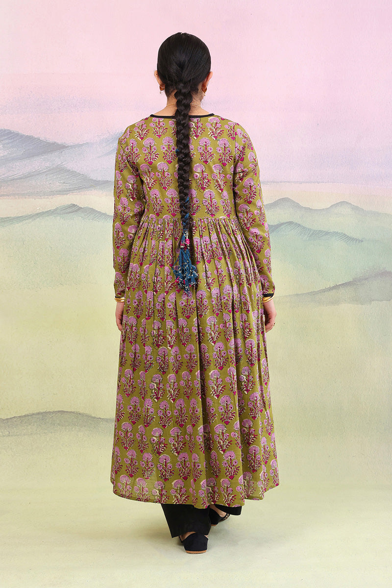 Pankhi Duo Dress