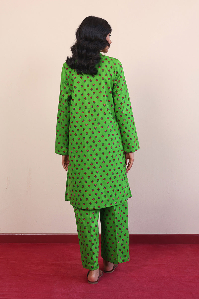 Afghani 2-Piece Suit
