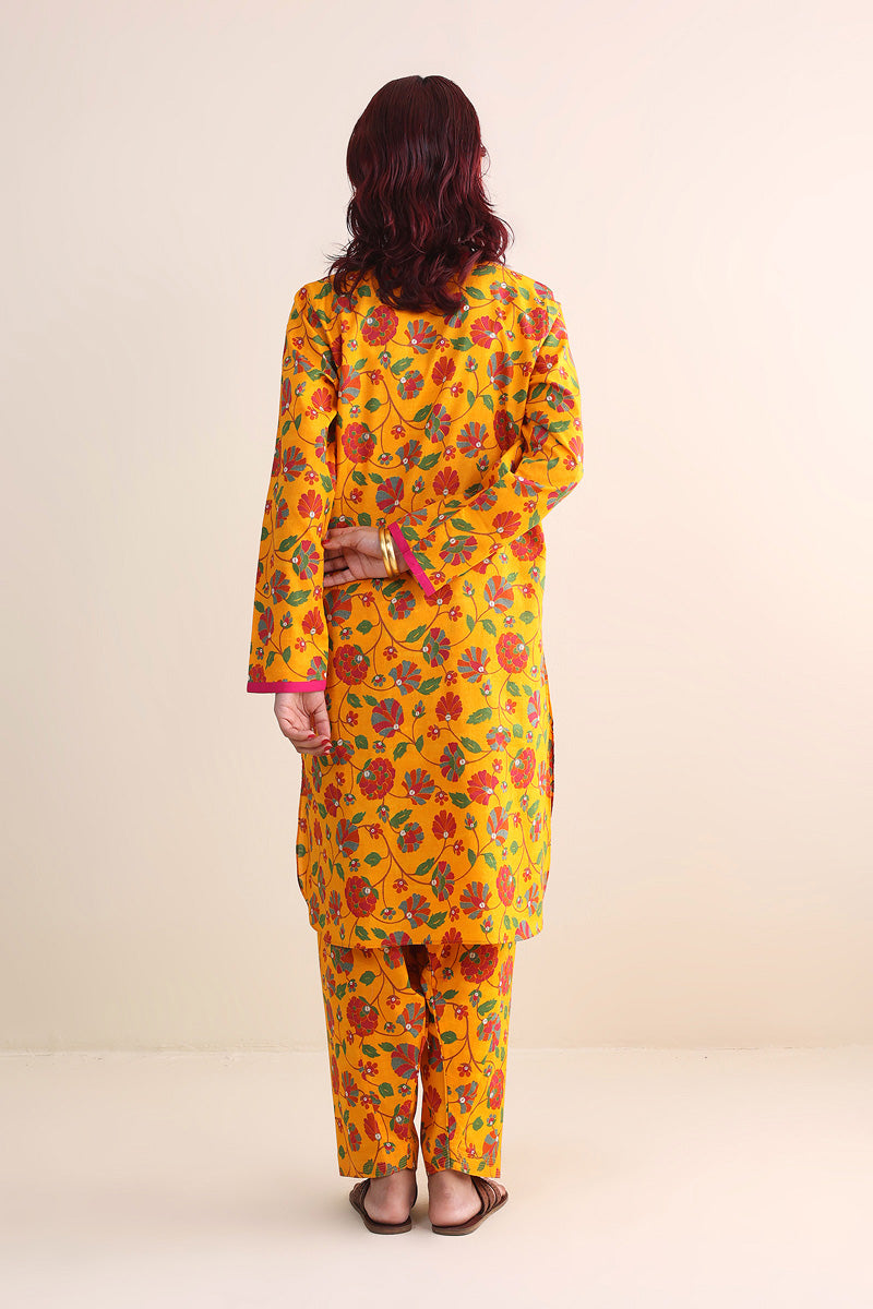 Paithani Printed Suit