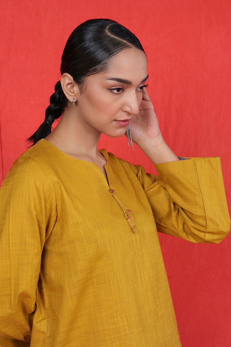 Timeless Meena Kurti