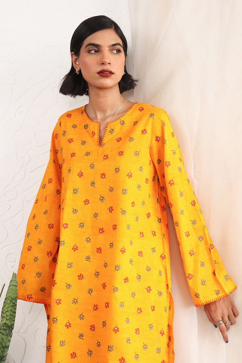 Paithani 2 Piece