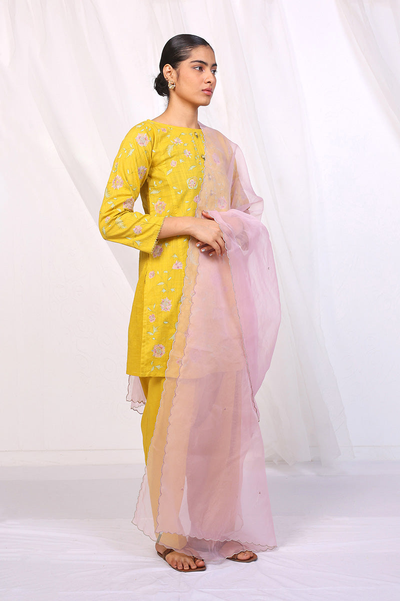 Sunehri Phool Suit