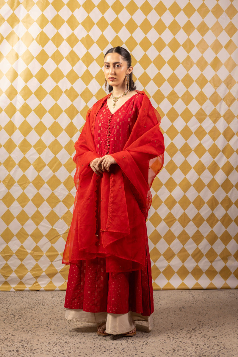 Threads of History Tasseled Dupatta
