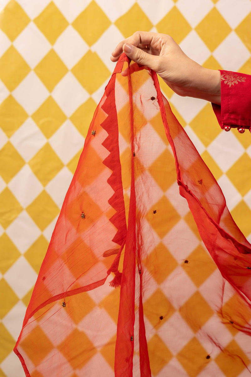 Threads of History Tasseled Dupatta