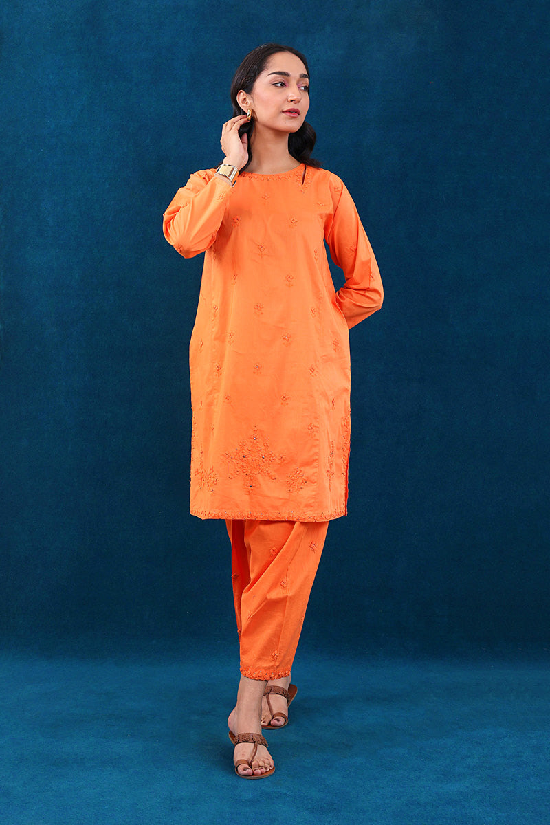 Rung e Bahaar Applique/Embroidered Set