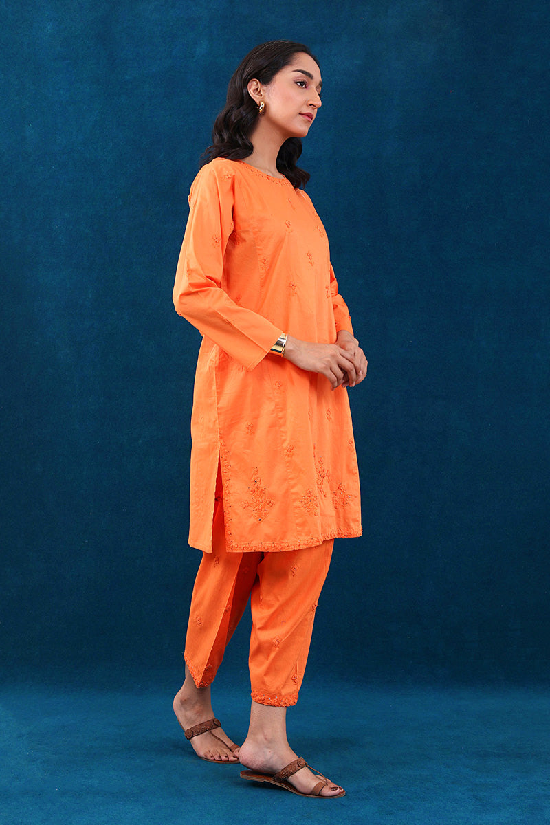 Rung e Bahaar Applique/Embroidered Set