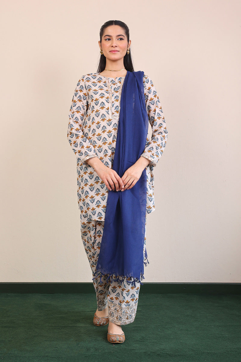 Neela Dupatta