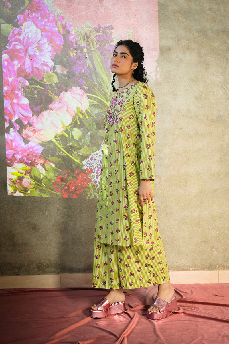 Phool Patti Raqs Suit