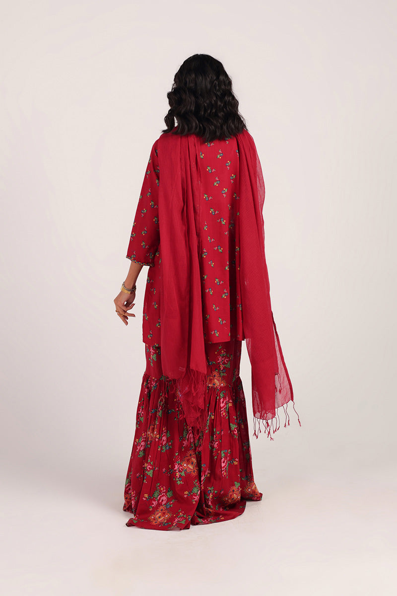 Balochi Garden Gharara Set