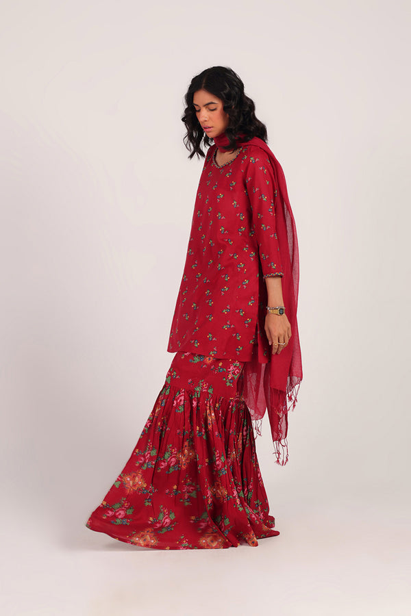 Balochi Garden Gharara Set
