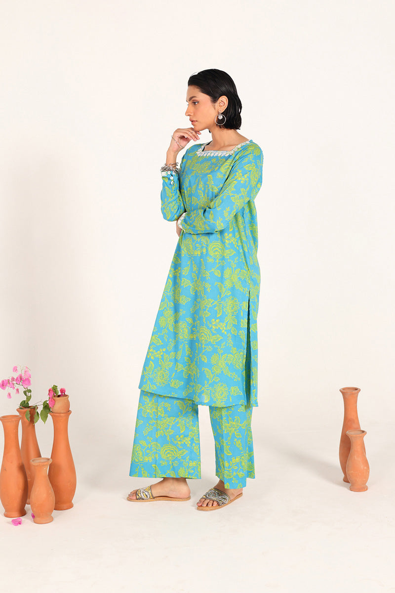 Roshni Reflections Ensemble