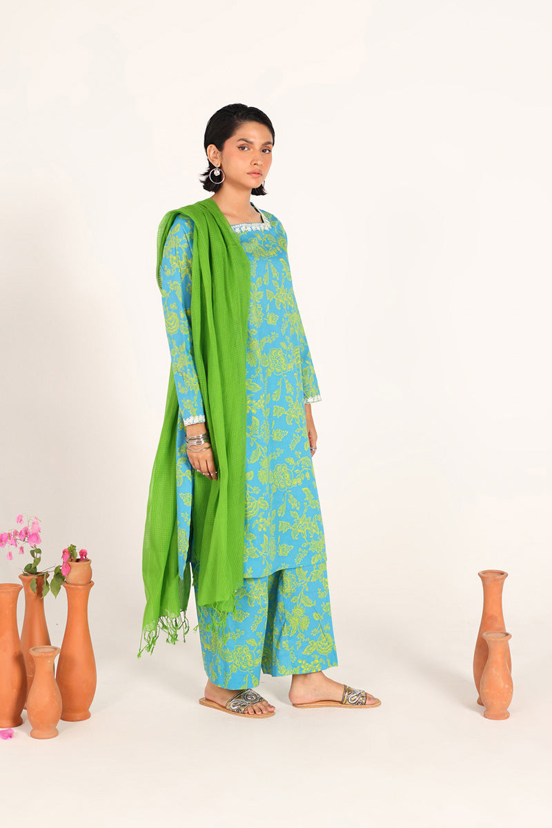 Roshni Reflections Ensemble