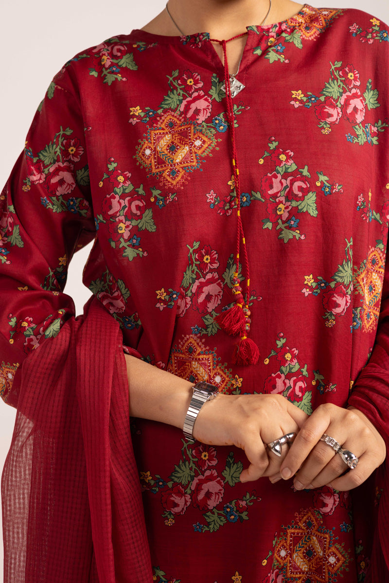 Desi Balochi Garden Ensemble