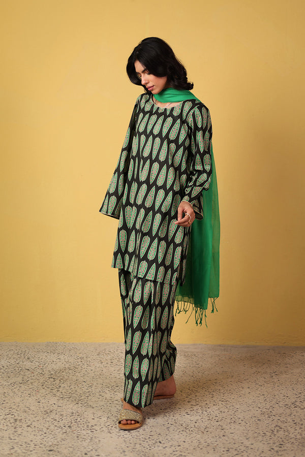 Saru Classic Gleam Set