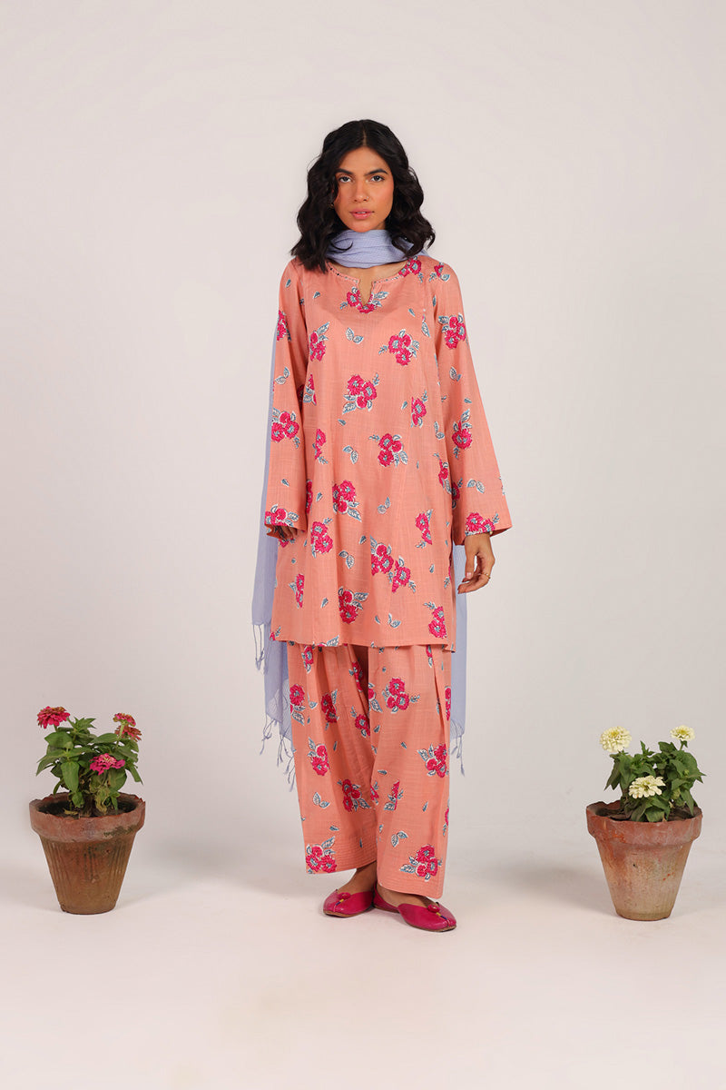 Indus Mukaish Bloom Ensemble