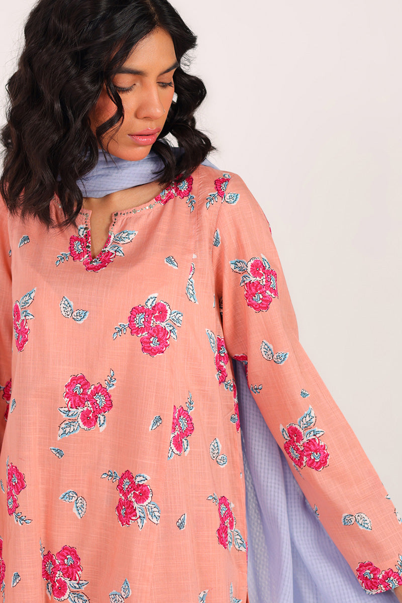 Indus Mukaish Bloom Ensemble