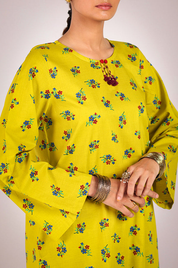 Rangeela Balochi Booti Duo
