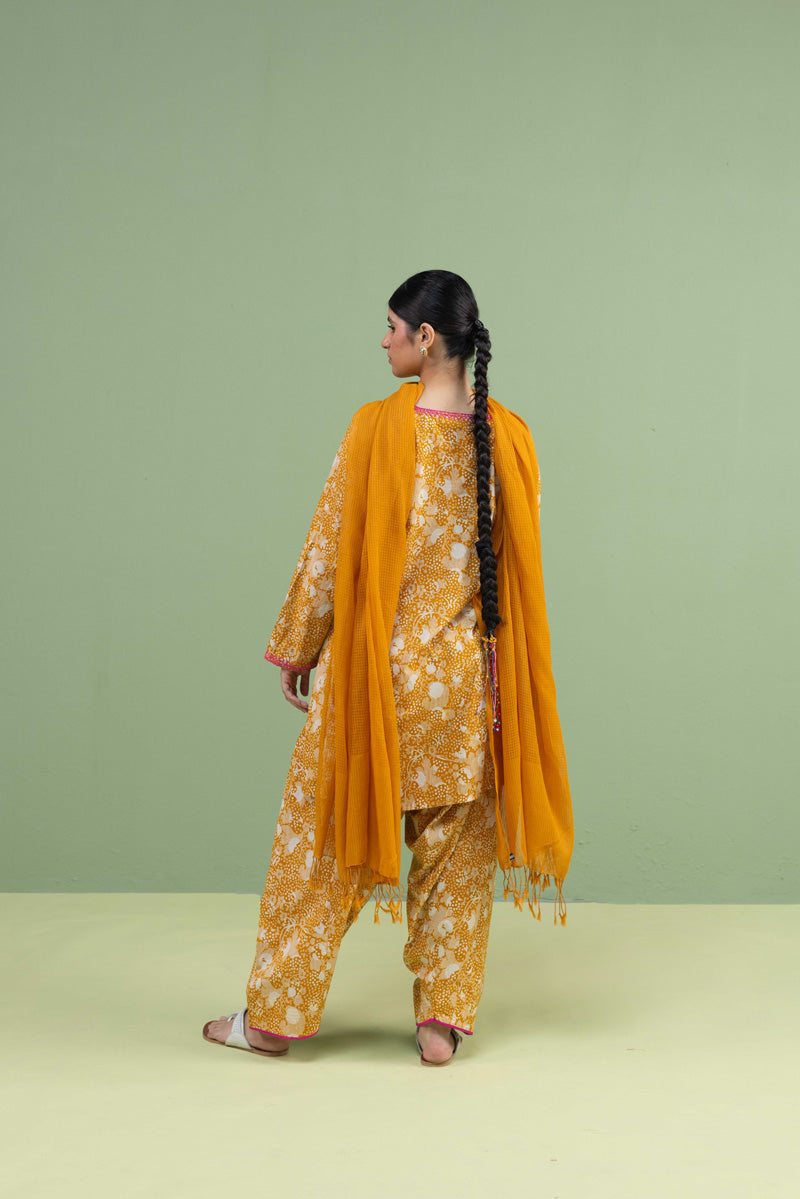 Gul-E-Aqs Printed Dual-Set