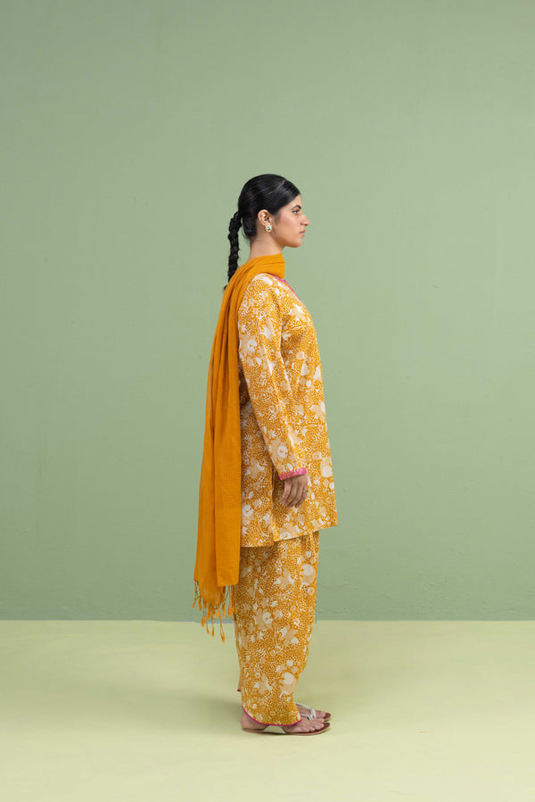 Gul-E-Aqs Printed Dual-Set