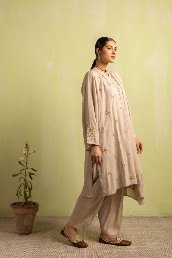 Zareen Zardar Suit