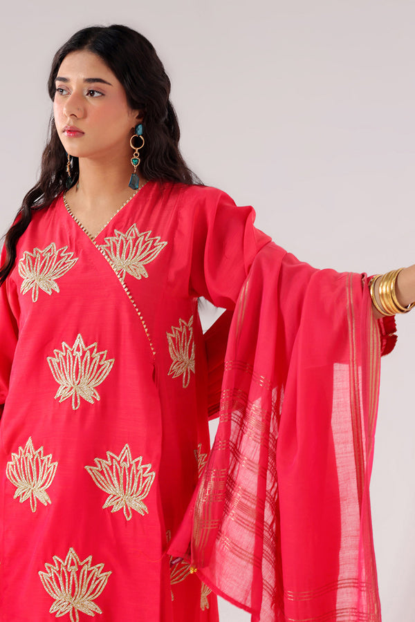 Zareen Kamal Dastan Suit