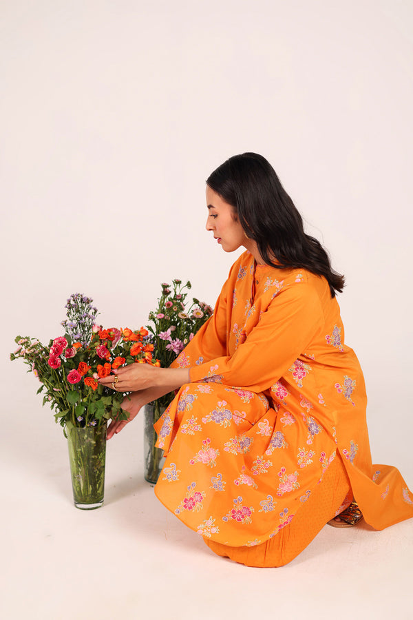 Block-Printed Ferozan Ensemble