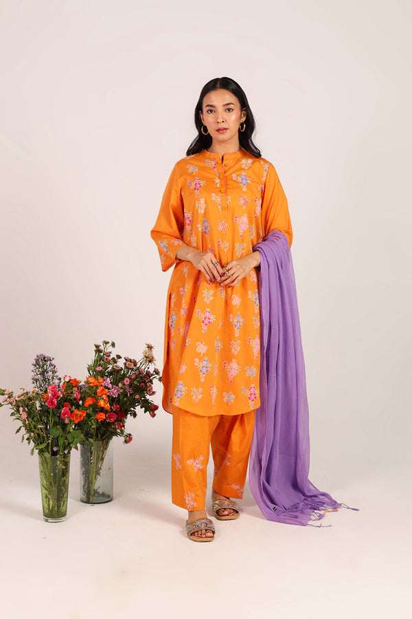 Block-Printed Ferozan Ensemble