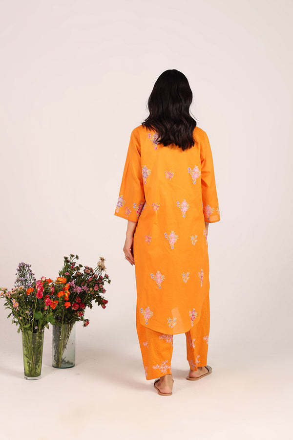 Block-Printed Ferozan Ensemble