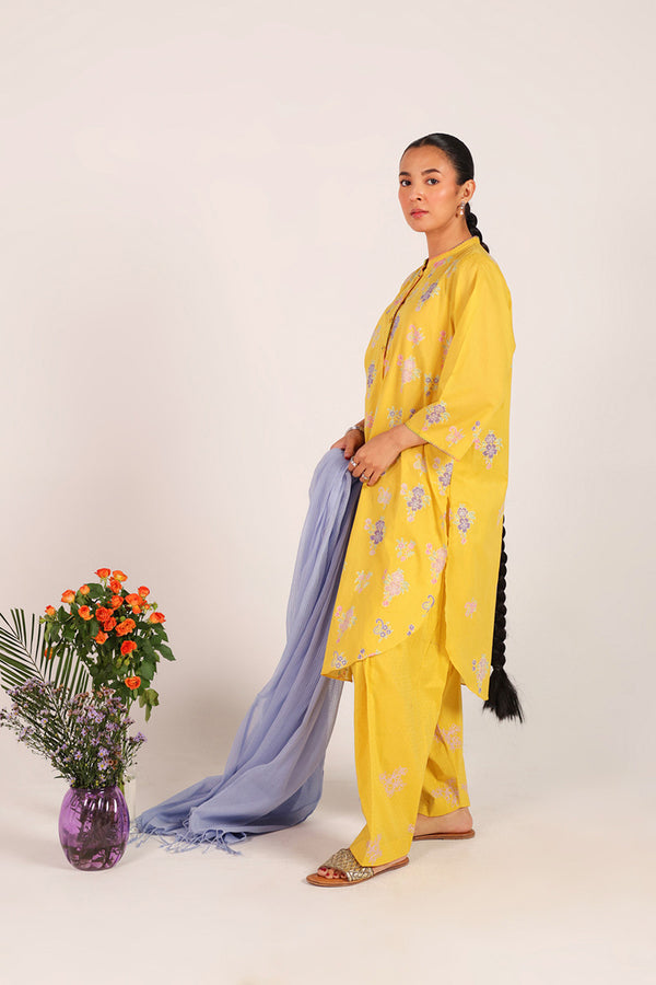 Block-Printed Ferozan Ensemble