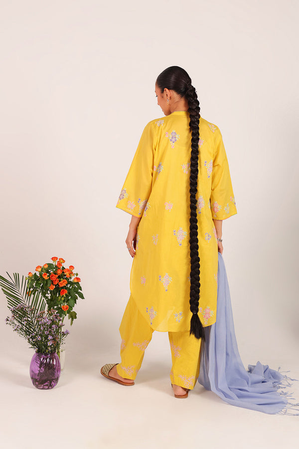 Block-Printed Ferozan Ensemble