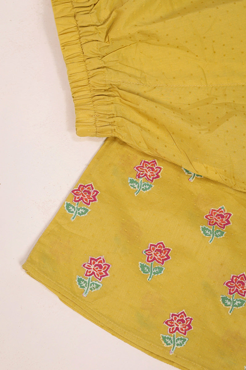 Block Printed Ferozan Sharara