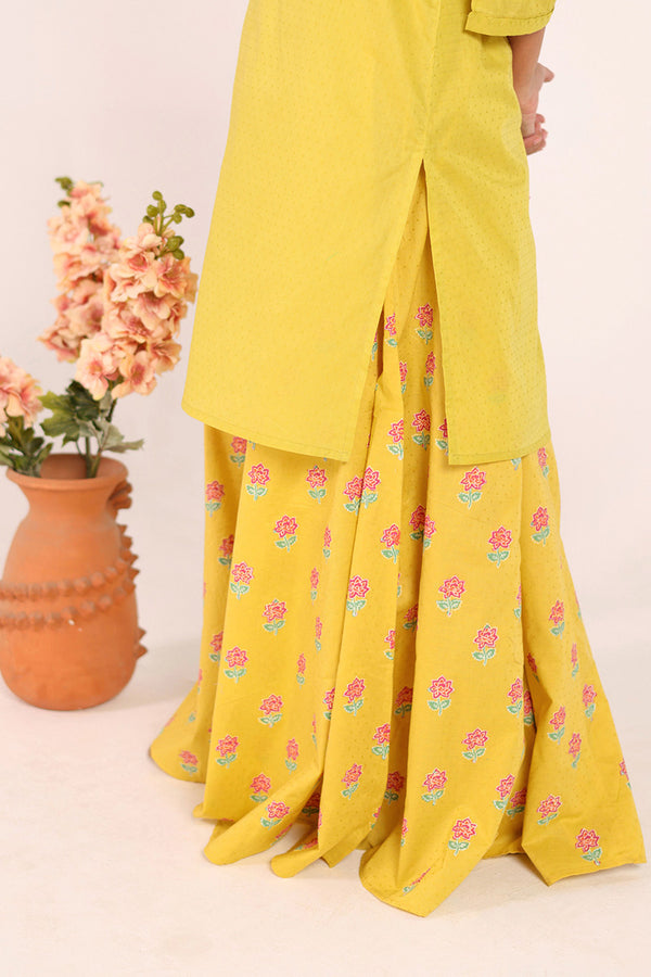Block Printed Ferozan Sharara